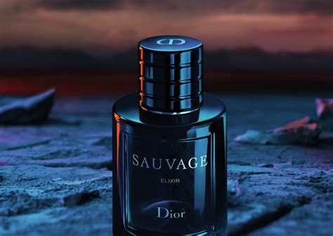 dior savauge clone|colognes that smell like sauvage.